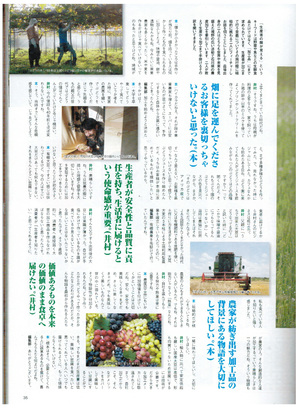 p35.jpg