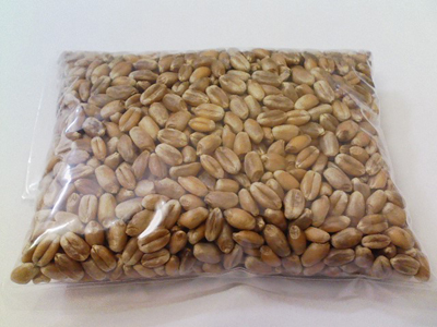 小麦玄麦プレゼント