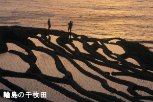 輪島の千枚田