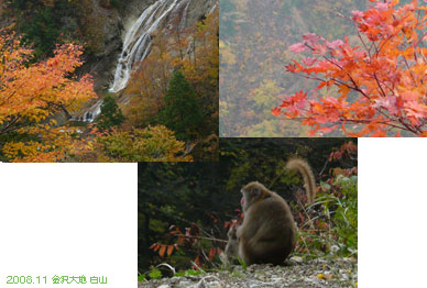 白山の紅葉