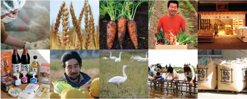 organic_farm_kanazawa_daichi.jpg