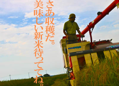 新米待っててね