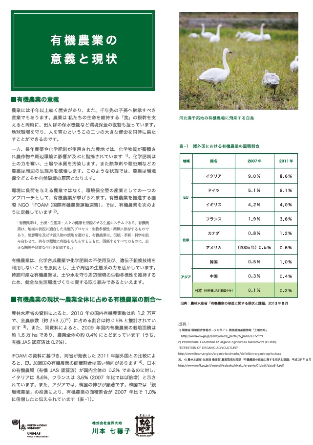 flyer